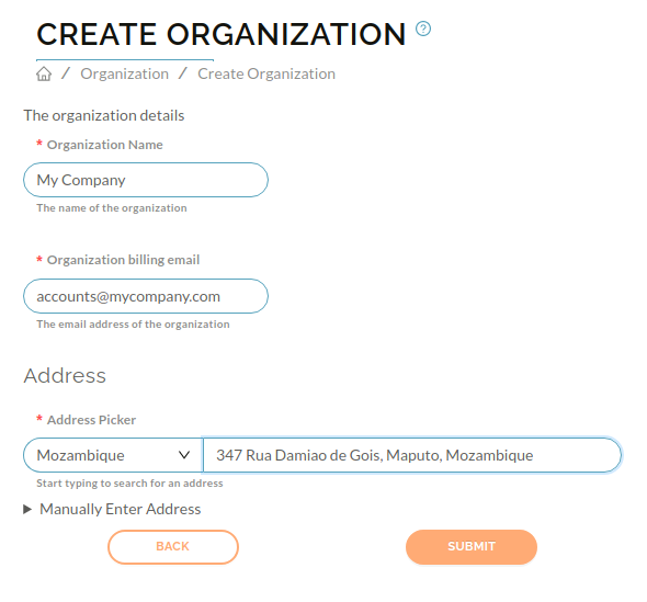 Image of organization create page filled out