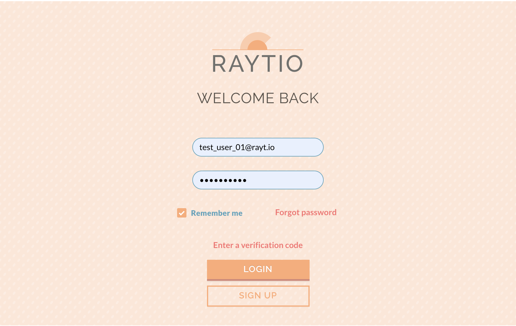Image of the raytio login page